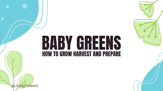 How To Grow Baby Greens in a Tower Garden