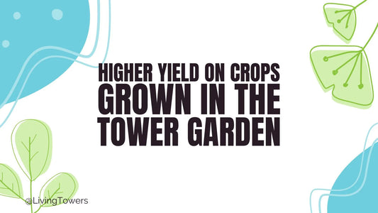 Study Shows Higher Yield on Crops Grown in the Tower Garden