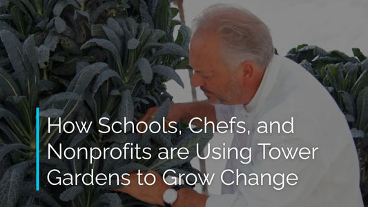 How Schools, Chefs, and Nonprofits are Using Tower Gardens to Grow Change