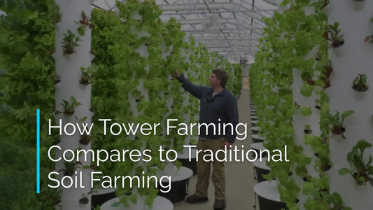 Tower Farming 101: How Tower Farming Compares to Traditional Soil Farming