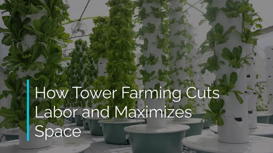 Tower Farming 101: How Tower Farming Cuts Labor and Maximizes Space