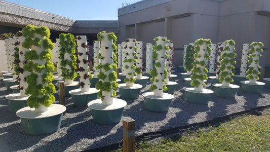 Volusia County Jail Farm Florida
