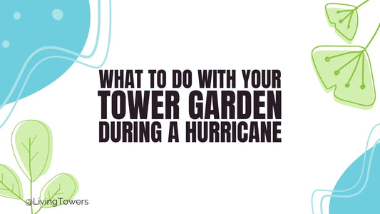 What To Do With Your Tower Garden During a Hurricane