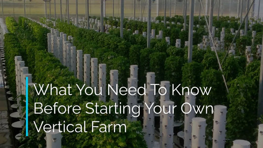 Tower Farming 101: What You Need to Know Before Starting a Vertical Farm
