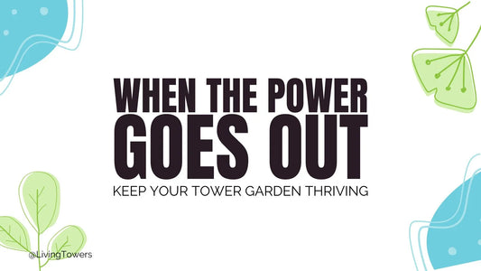 When the Power Goes Out: Keeping Your Tower Garden Thriving