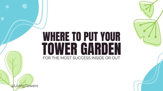 Where Should I Put My Tower Garden for the Greatest Success? 🌞🍅🌱