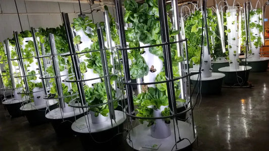 Windom High School Tower Gardens: Windom, Florida