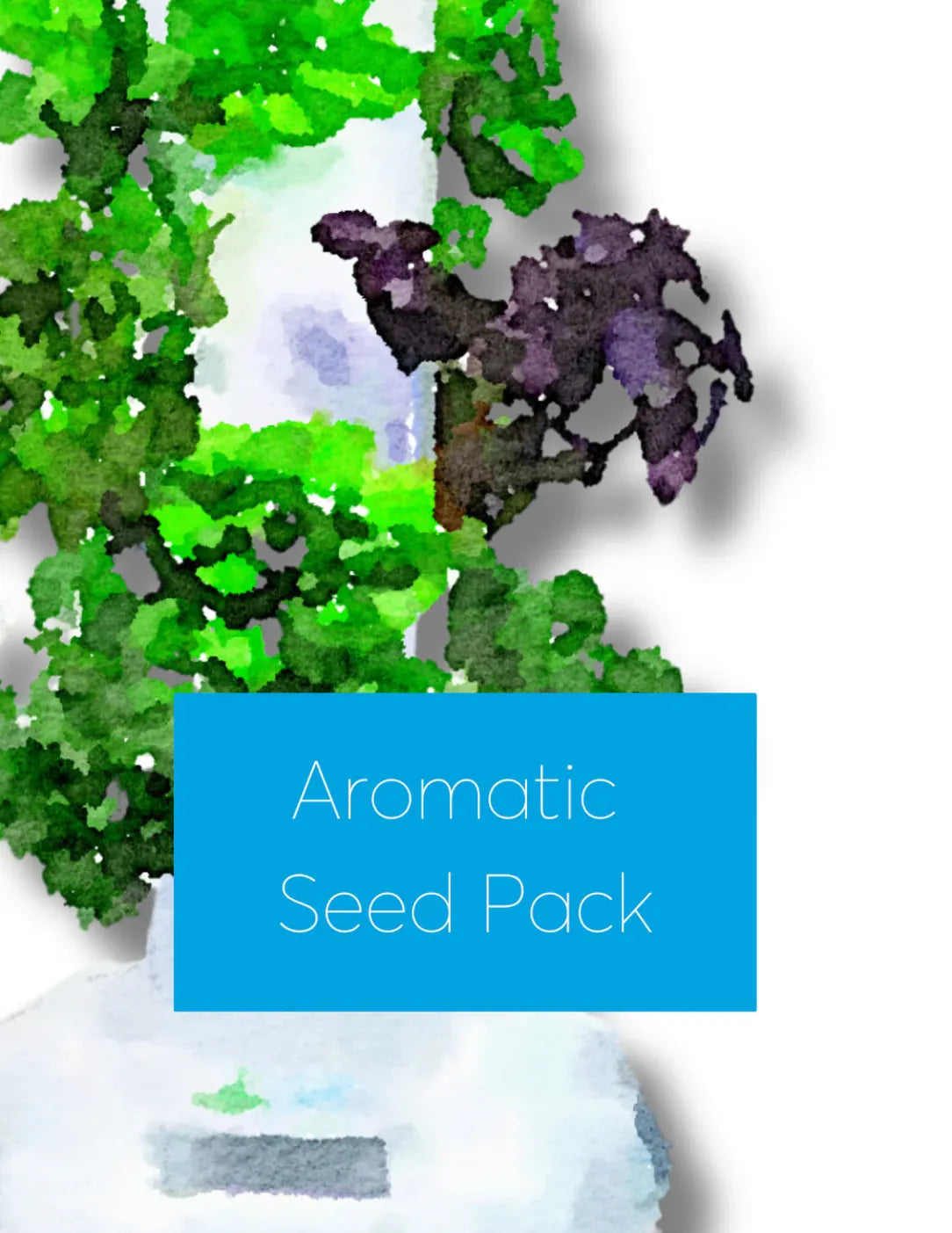 Aromatic Seed Pack for Tower Garden