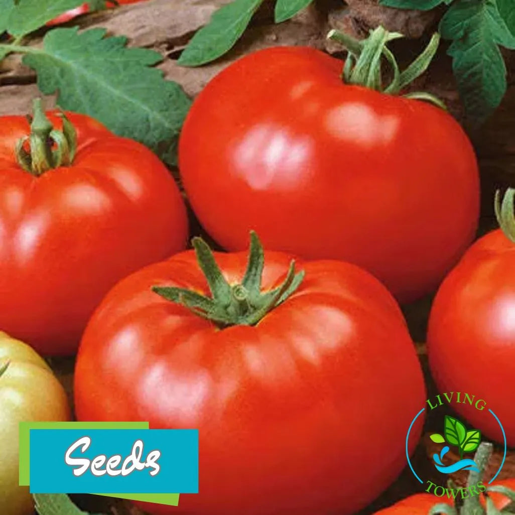 Vegetables - Tomato, Brandywine Seeds