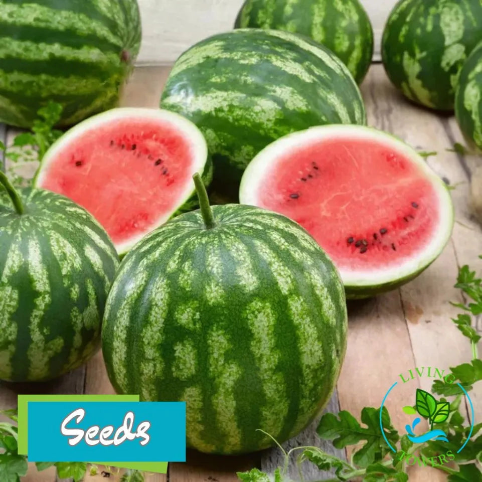 Fruit - Watermelon, Cal Sweet Bush Seeds