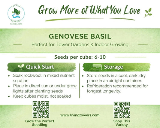 Herbs - Basil, Genovese Seeds
