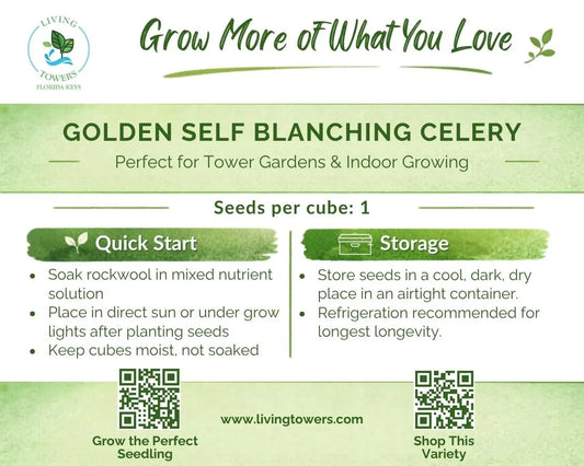 Vegetables - Celery, Golden Self Blanching Seeds