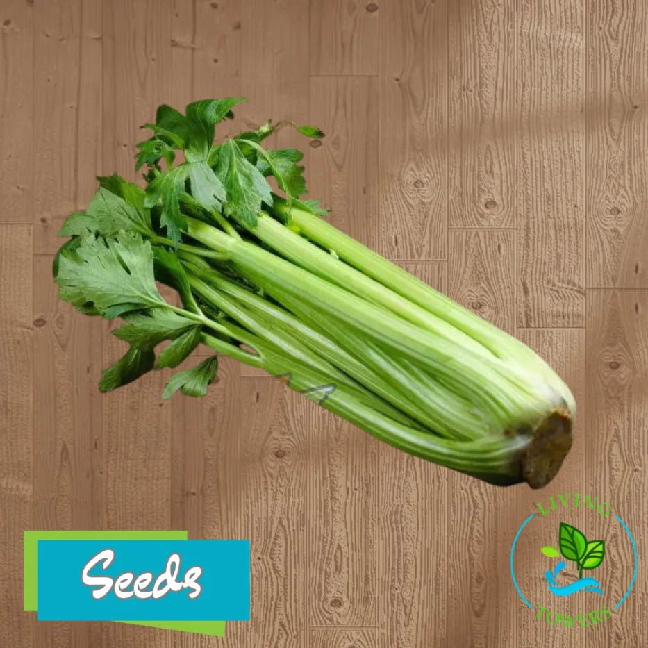 Vegetables - Celery, Golden Self Blanching Seeds