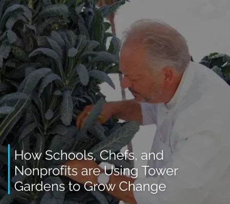 Man tending to plants in a tower garden with text overlay about schools, chefs, and nonprofits using tower gardens.