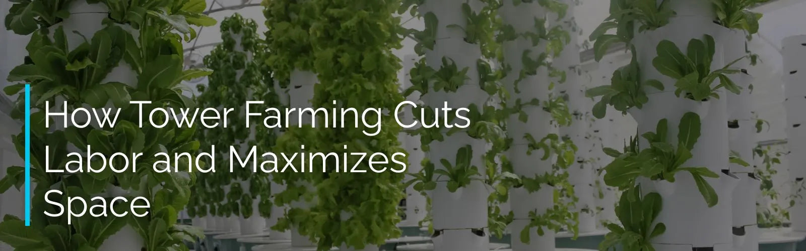 Text overlay on a background of hydroponic plants with the title 'How Tower Farming Cuts Labor and Maximizes Space'.