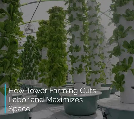 Vertical hydroponic farming system with text overlay about labor reduction and space maximization.