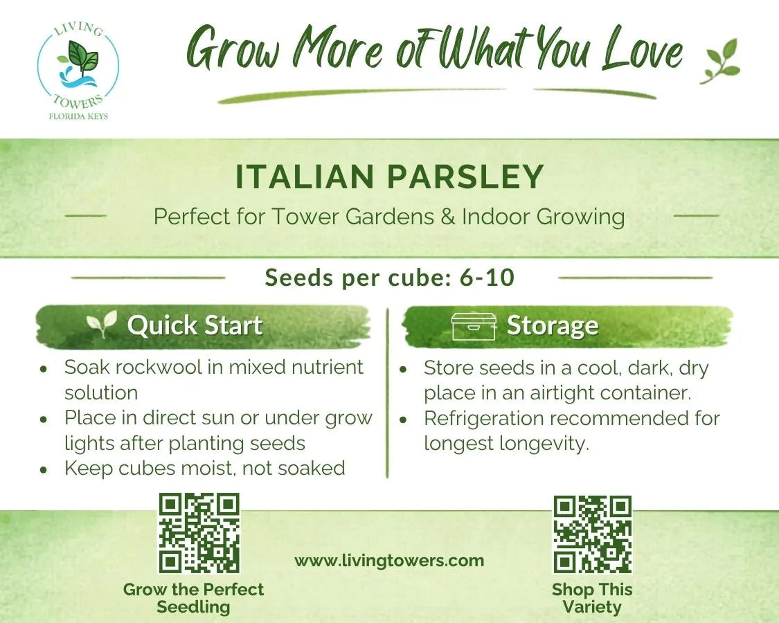 Herbs - Parsley, Italian Seeds