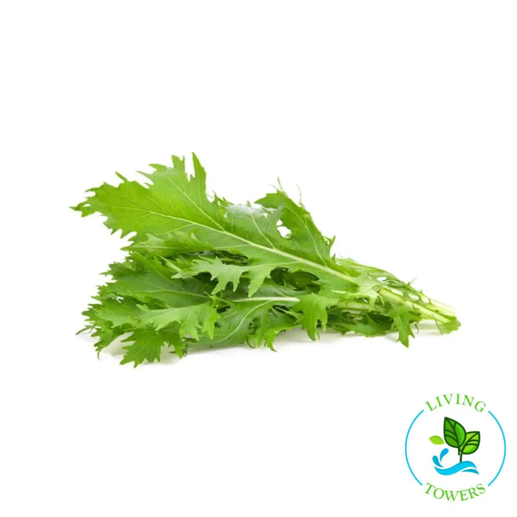 Greens - Mizuna