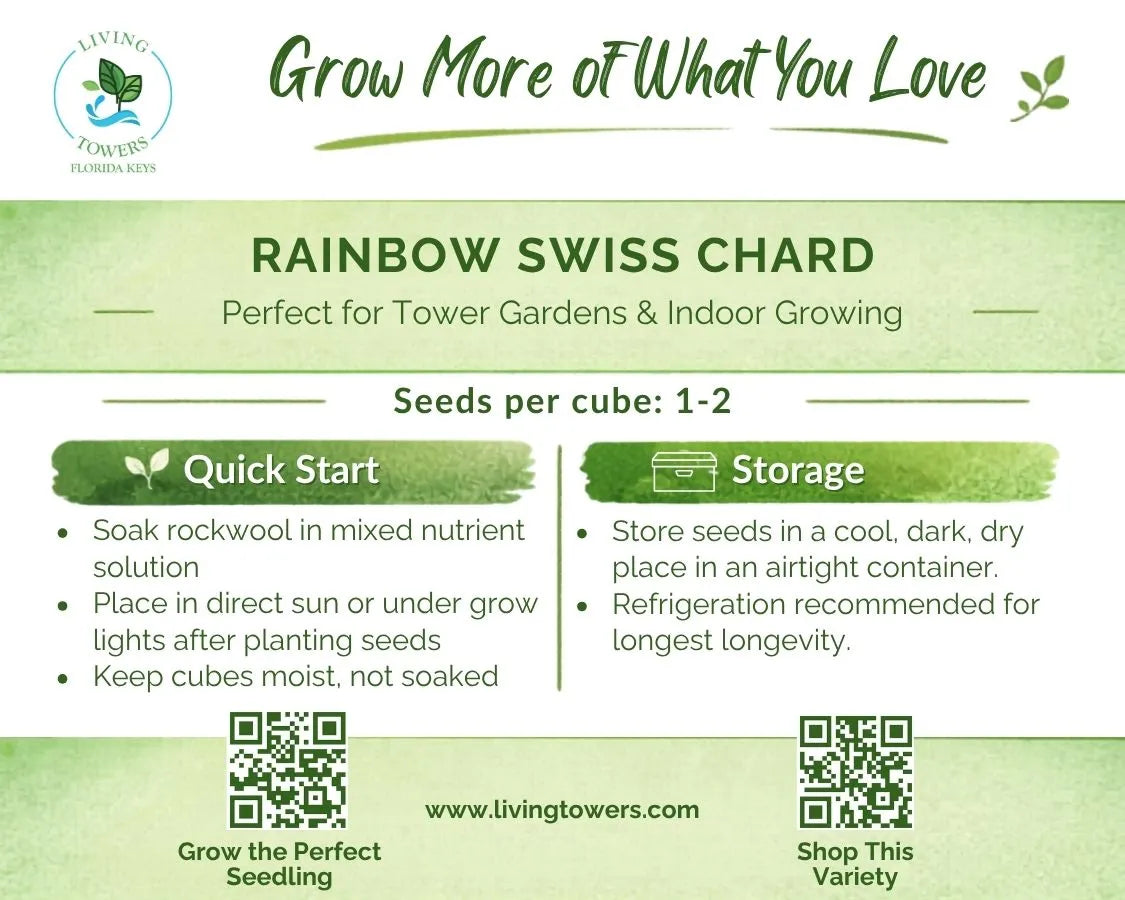 Greens - Swiss Chard, Rainbow Seeds