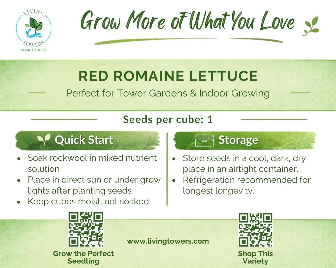 Lettuce - Romaine, Red Seeds