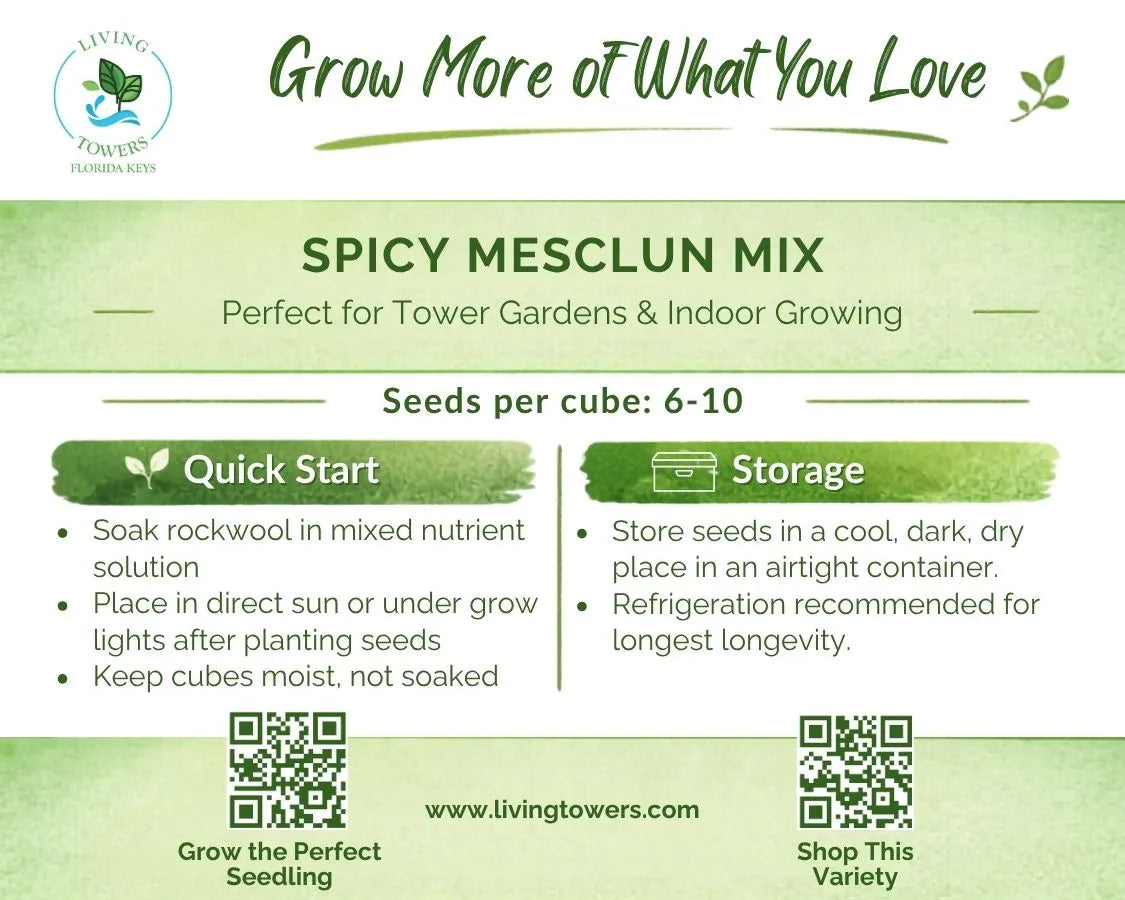 Greens - Spicy Mesclun Mix Seeds