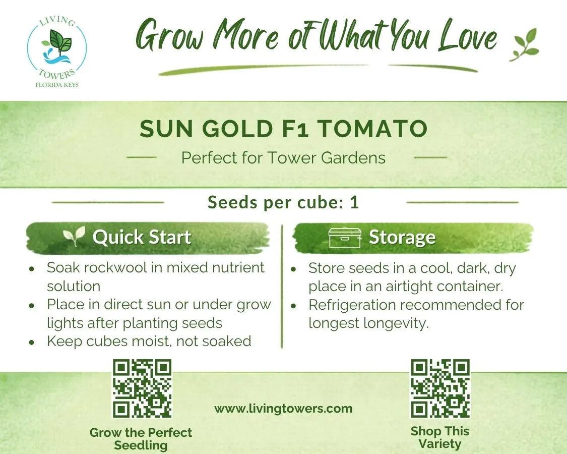 Vegetables - Tomato, Sun Gold Seeds