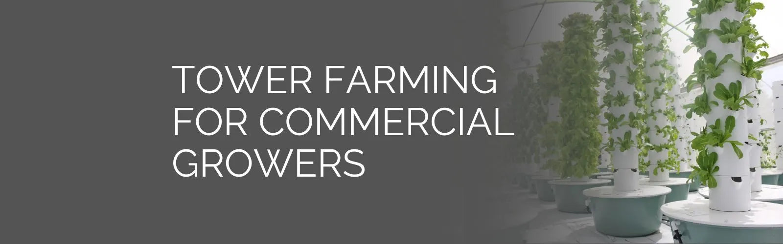 Tower Farming for Commercial Growers