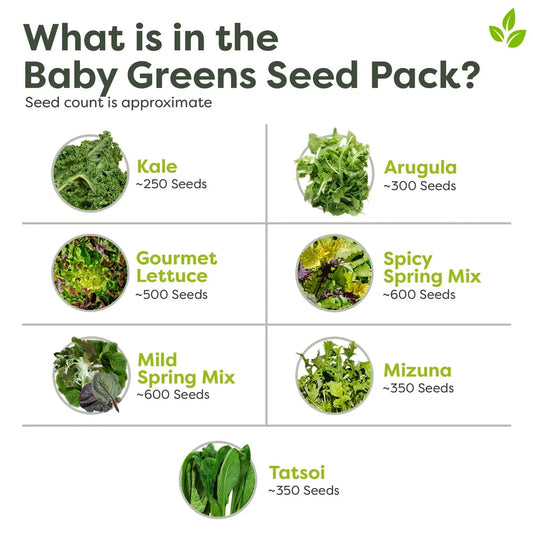 Baby Green Seed Pack
