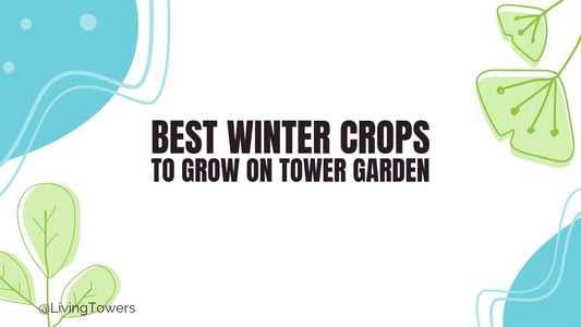 Best Winter Crops To Grow On Tower Garden