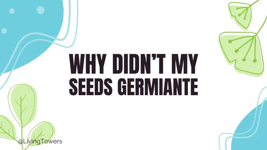 3 Reasons Why Your Seeds Didn't Germinate and How to Prevent it Happening Again