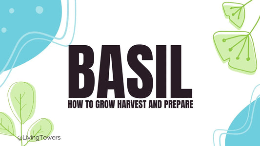 Basil: How to Grow in the Tower Garden, Tips, Benefits and Recipes