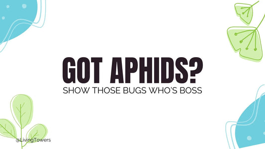 Got Aphids?