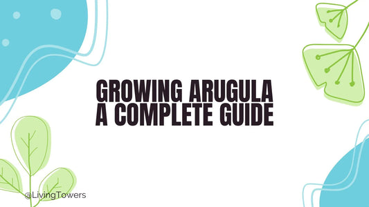 Growing Arugula Hydroponically: A Complete Tower Garden Guide