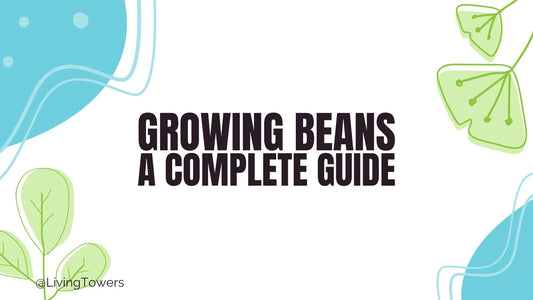 Growing Beans Hydroponically: A Complete Tower Garden Guide