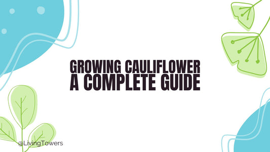 Growing Cauliflower Hydroponically: A Complete Tower Garden Guide