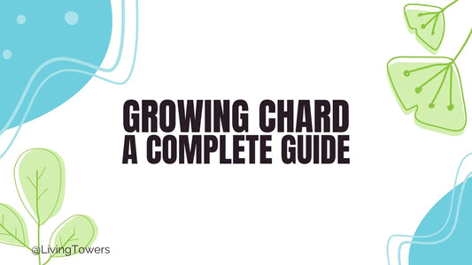 Growing Swiss Chard Hydroponically: A Tower Garden Growing Guide