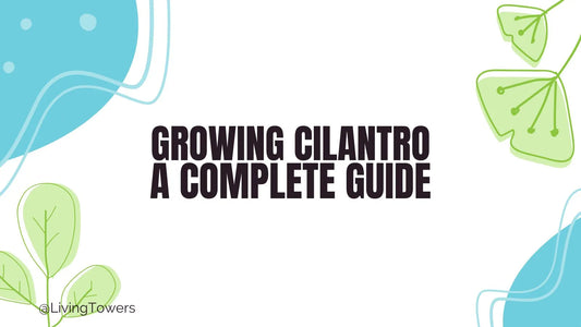 Growing Cilantro Hydroponically: Complete Tower Garden Guide