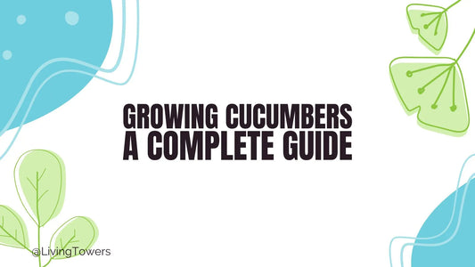 Growing Cucumbers Hydroponically: A Complete Guide