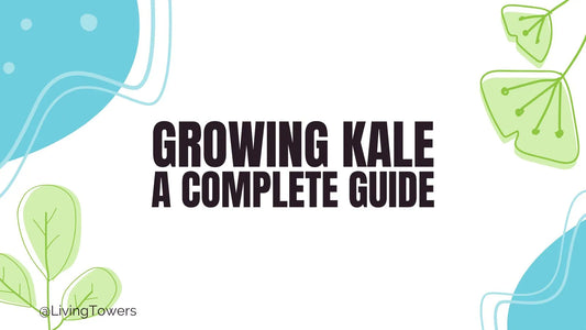 Growing Kale Hydroponically: A Tower Garden Growing Guide