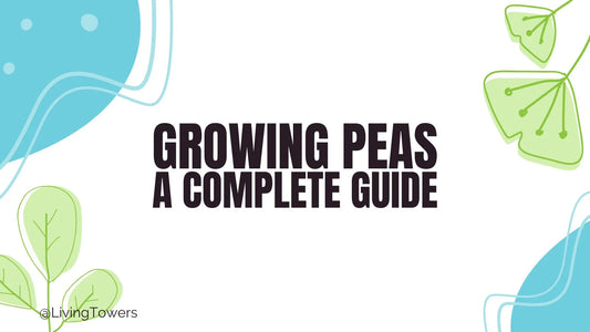 Growing Peas Hydroponically: A Complete Tower Garden Guide