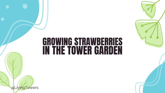 Growing Strawberries in a Tower Garden: Sweet, Simple, and Oh-So-Satisfying