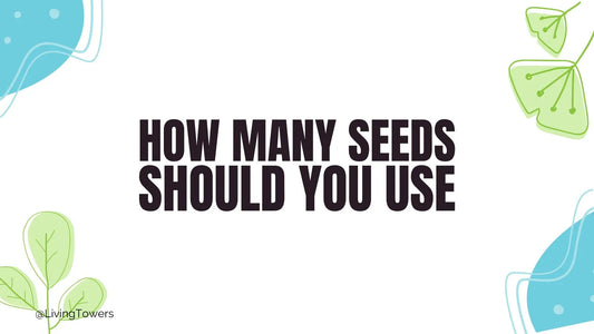 How Many Seeds Should You Use? A Fun & Easy Guide!