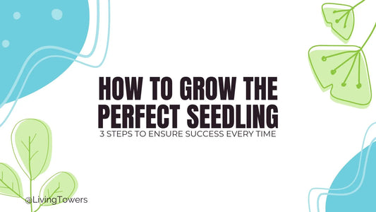 Tower Garden Seeding Guide: How to Grow the Perfect Seedling