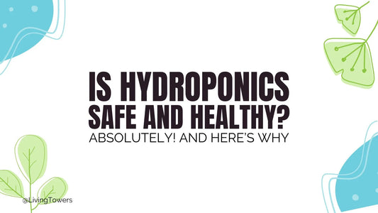 Is Hydroponics Safe and Healthy?