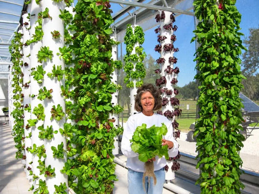 Where It All Began: The Original Living Towers Aeroponic Farm