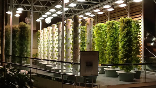 Urban Smart Farms Tower Garden Farm At Orange County Convention Center Orlando Florida