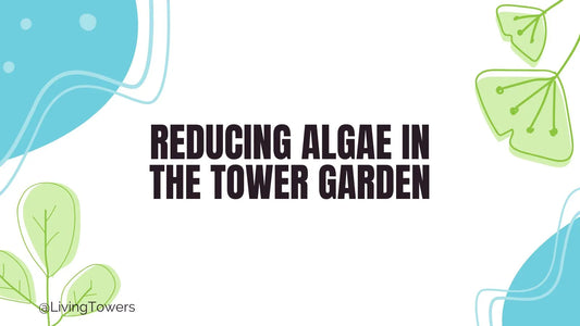 Reducing Algae Build Up in and Around the Tower Garden