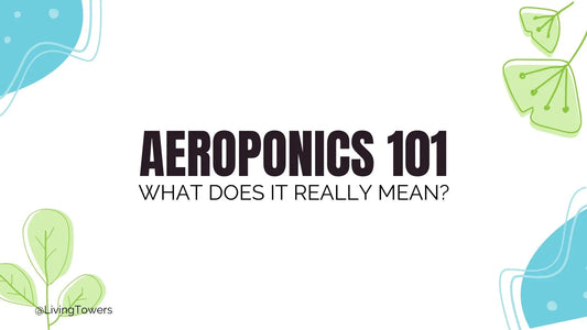 Aeroponics 101: What Does It Really Mean? 🚀🌱