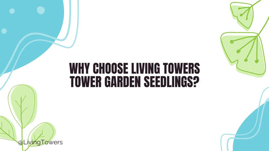 Why Choose Living Towers Tower Garden Seedlings?