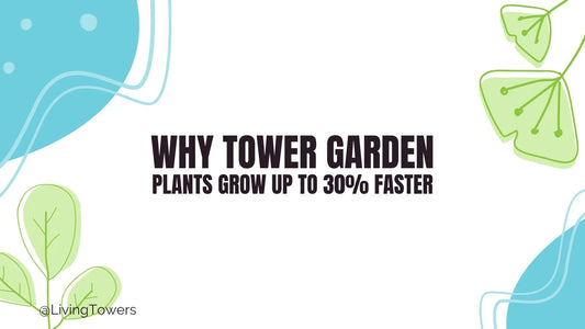 Why Tower Garden Plants Grow Up to 30% Faster